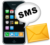 Professional Bulk SMS